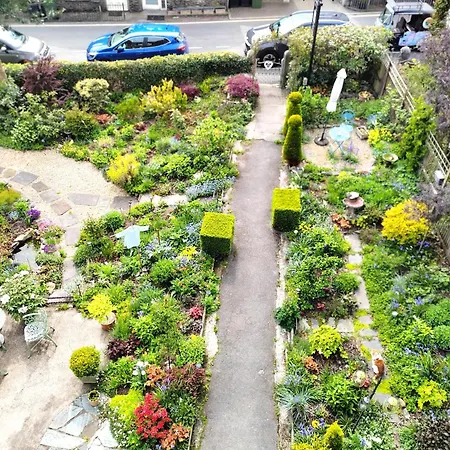 Puddle Duck - Adults Only 4*