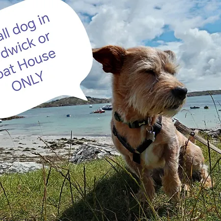 Puddle Duck - Adults Only Bowness-on-Windermere