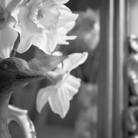 Puddle Duck - Adults Only Vendégház Bowness-on-Windermere