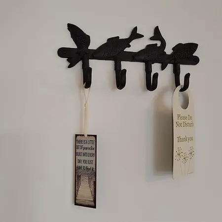 Puddle Duck - Adults Only 4*