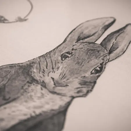 Puddle Duck - Adults Only 4*