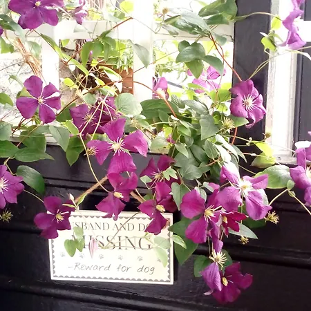 ゲストハウス Puddle Duck - Adults Only 4*