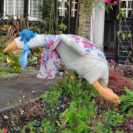 Puddle Duck - Adults Only ゲストハウス ボウネス＝オン＝ウィンダミア